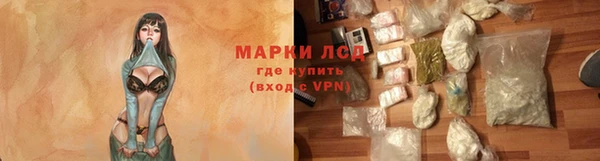 СК Покачи