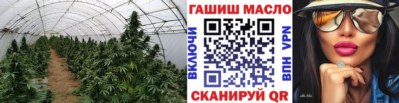 ТГК THC oil  хочу   Любань 