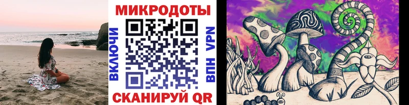 Псилоцибиновые грибы Psilocybe  Любань 